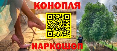 молекула духа Нягань